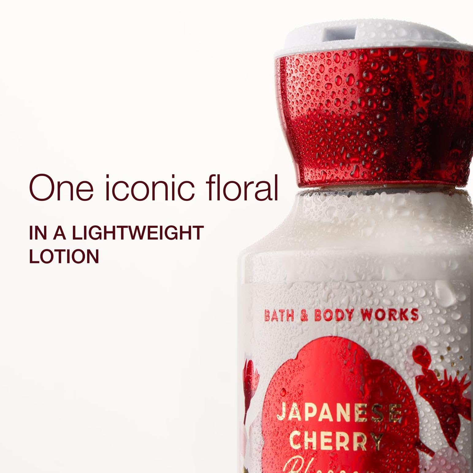 Amazon.com : Bath & Body Works Japanese Cherry Blossom Body Lotion